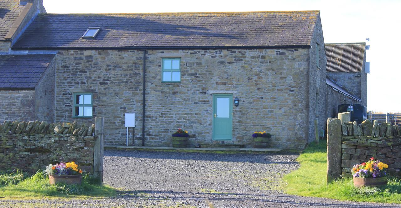 High Keenley Fell Farm Allendale Eksteriør billede